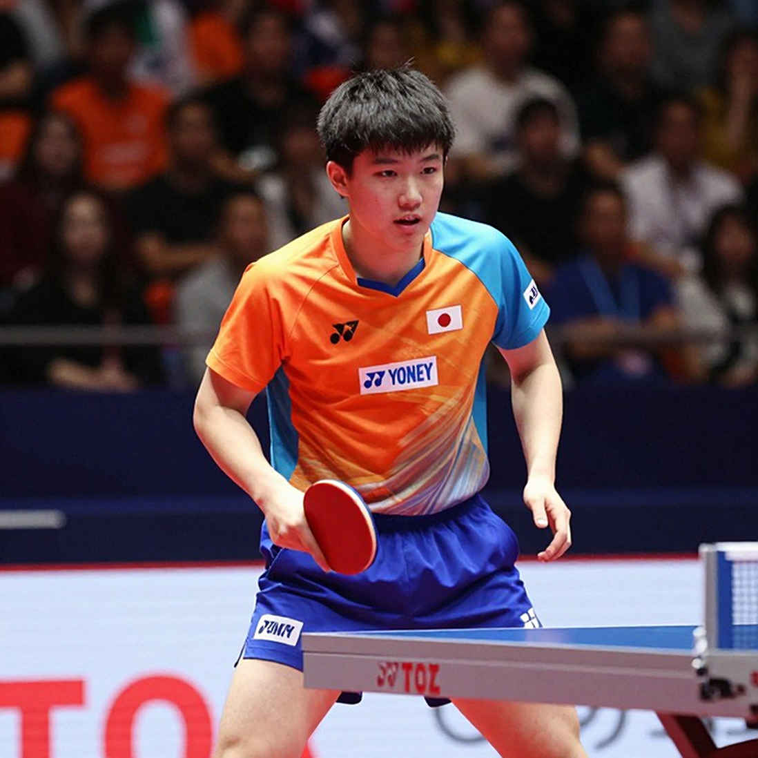 The Golden Rush of Ageing Rackets in Jersey and the Depth Lesson for Vietnamese Table Tennis The Golden Rush of Ageing Rackets in Jersey and the Depth Lesson for Vietnamese Table Tennis