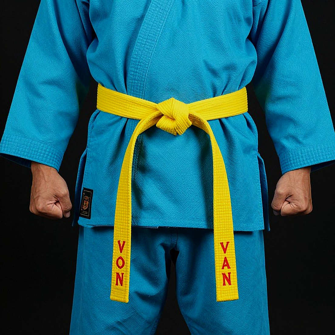 HCV kata đồng đội của karate Việt Nam: Năm lá phiếu cùng màu và vùng xám cần kiểm chứng HCV kata đồng đội của karate Việt Nam: Năm lá phiếu cùng màu và vùng xám cần kiểm chứng