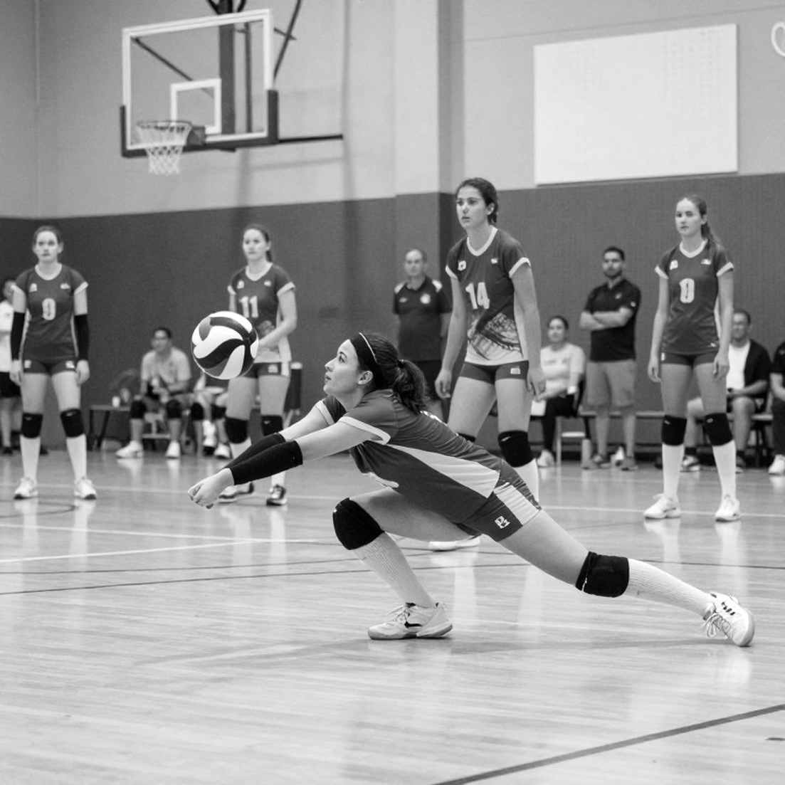 LVM 2026: The Architecture of 60 Matches in 15 Days and the University Volleyball Talent Supply Chain